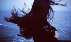 探索欧亚专线欧洲S码WMY全部资讯带来的航运新机遇