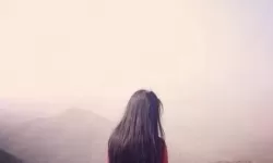 无人区玫瑰mv与一颗狼星：孤独与希望的对话