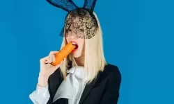 探秘妖精动漫登录入口界面尾巴的神秘设计