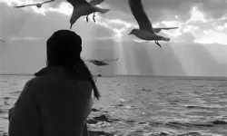 我们不合适1V1，职场人际关系中的常见困扰