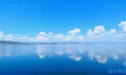 你是我眼里的光壁纸