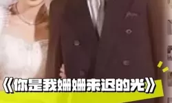 你是我眼里的光电视剧