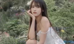 沈阳老阿姨最后的巅峰：感悟人生的智慧与风采