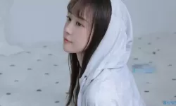 “揭秘公交车h500系列的设计与性能”