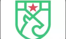 暖雪真结局怎么触发