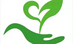 “已满十八已带好纸”：青年人理财规划的重要性