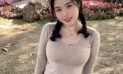 亚洲码对比欧洲码：一码二码三码策略的启示