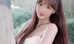 4虎CVT4WD入口：家庭出行的理想选择