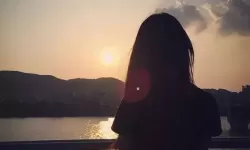 探索热门的免费行情软件app网站直播平台推荐