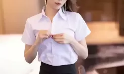 探索西方47大但人文艺术中的经典与现代