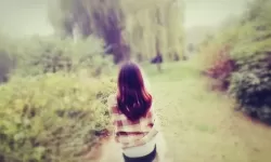 全明星足球封号怎么办