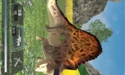 随着儿挺钢枪一起来，我的十八岁生日不再平凡