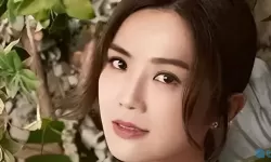 “突发情况应对指南：JUL532外勤突然下大雨”