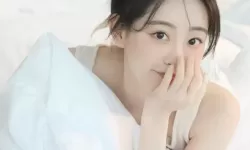 2. 在太久永久回家地址TAI9.TV中畅游：永不迷路的旅程