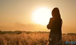 选择永久免费CRM的十大理由