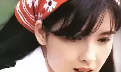 免费行情软件网站mnw对新手投资者的重要性