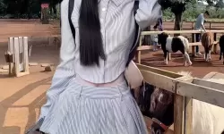 从宝玉林黛玉初尝风雨看爱情的脆弱