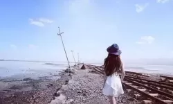 高效运作：欧亚专线欧洲S码WMY全部资讯的成功案例