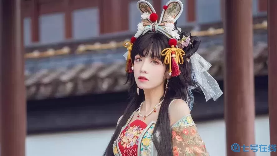 免费python在线观看源码