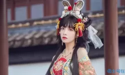 免费python在线观看源码助你实现视频流畅播放