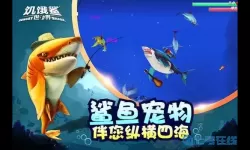 饥饿鲨世界珍品商铺在哪