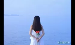 通过仙踪林官方网站老狼信息网，开启你的生态探索之旅