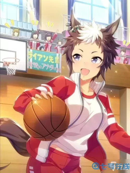 水煮篮球哪些好用的SR