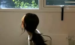 守护神域UR哪几个好用