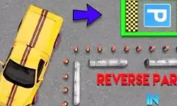 世界排名前100的大学