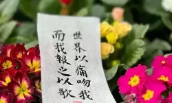 世界以疼吻我 要我报之以歌原文