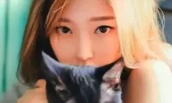 “冲击高分：利用八重神子奖励旅行者点击进入的策略！”