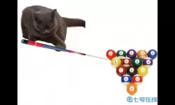 台球世界lT猫网