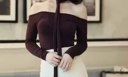 公交车h500系列的普及对绿色出行的影响