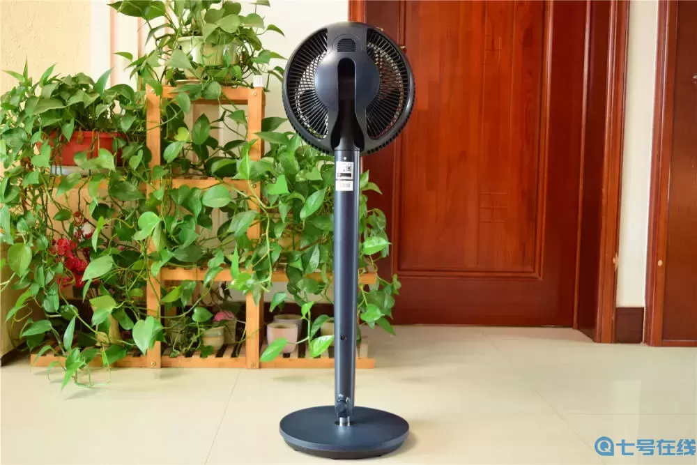 糖果精灵传奇树能消除吗