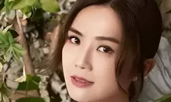 索尼克音爆暗影失忆是第几集