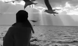 解读地下偶像sana未增删带歌词的艺术价值