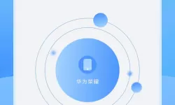 骰子猎人id怎么输入