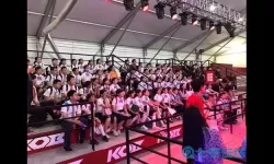 铁甲风暴机器名字