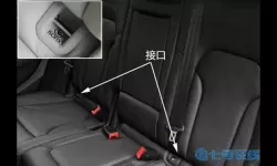 骰子猎人前排后排区别