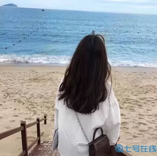 ZOOMSERVO兽狗牧场