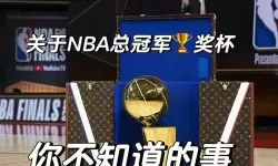 王者nba奖杯属性加成