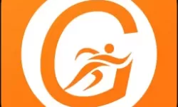 “40岁阿姨荒野大镖客一电影内容”中的社会反思与现实映射