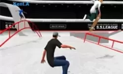 王者传奇羽毛4升5需要多少根