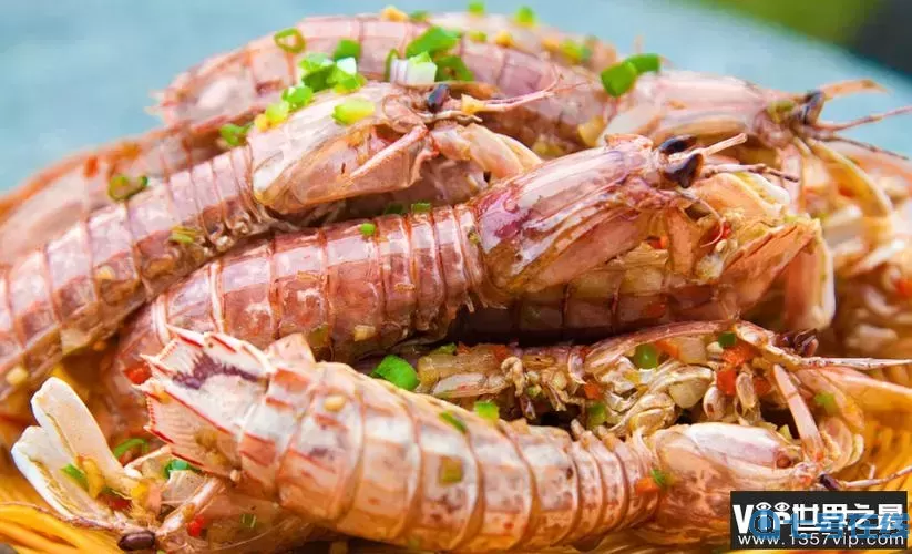 万世镜VIP19多少钱