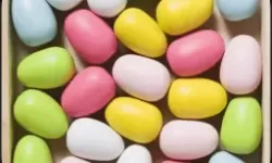 新手必看：成品网站源码1688免费推荐及使用指南