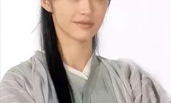 武林外传姚晨演啥的