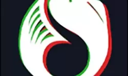 红桃最新域址永久：探索无限可能的网络世界