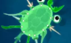 仙灵外传开服表