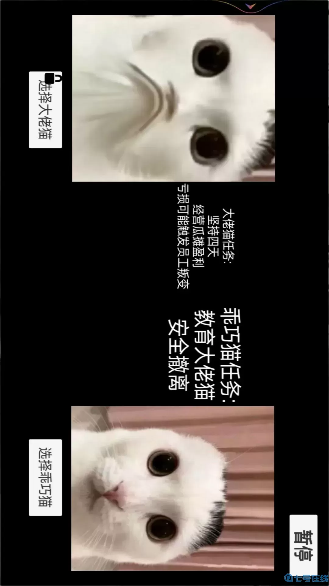 猫猫惊魂夜安卓版最新