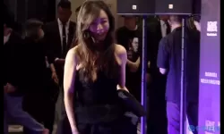 仙语奇缘放飞自我回归答案